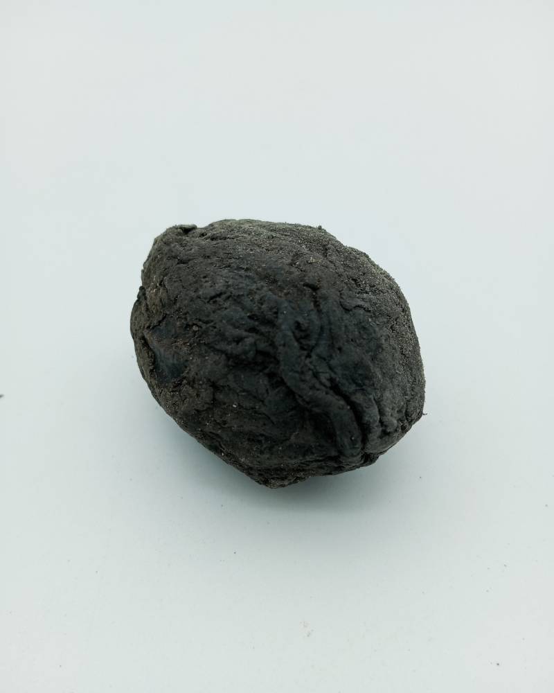 Odii aba seed