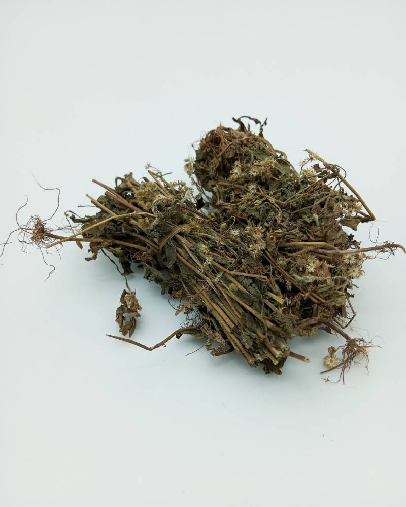 King Grass (Billygoat Weed / Imi-Esu)