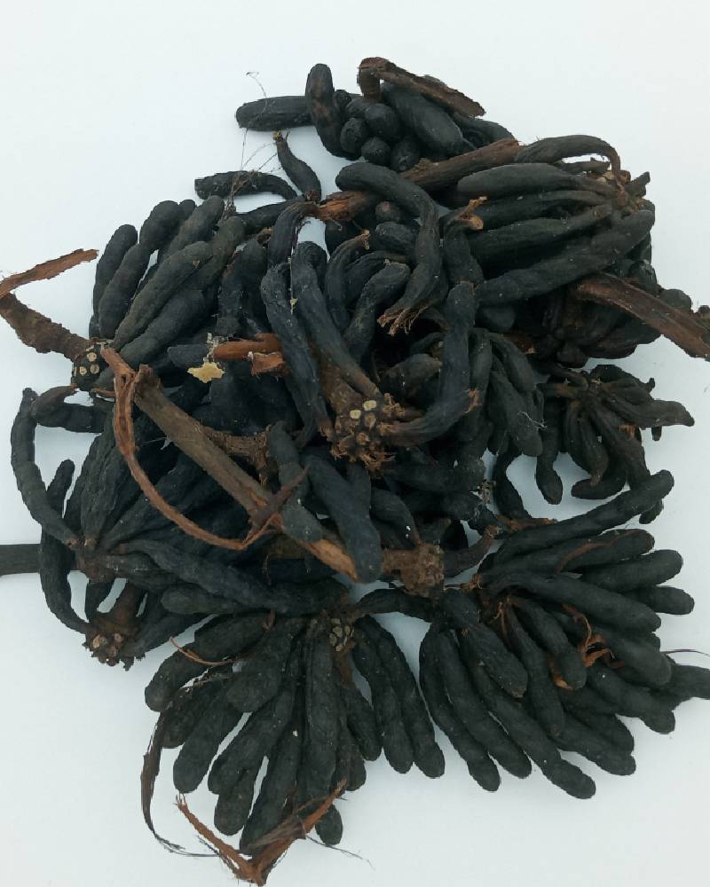 Xylopia Aethiopica (African Long Pepper)